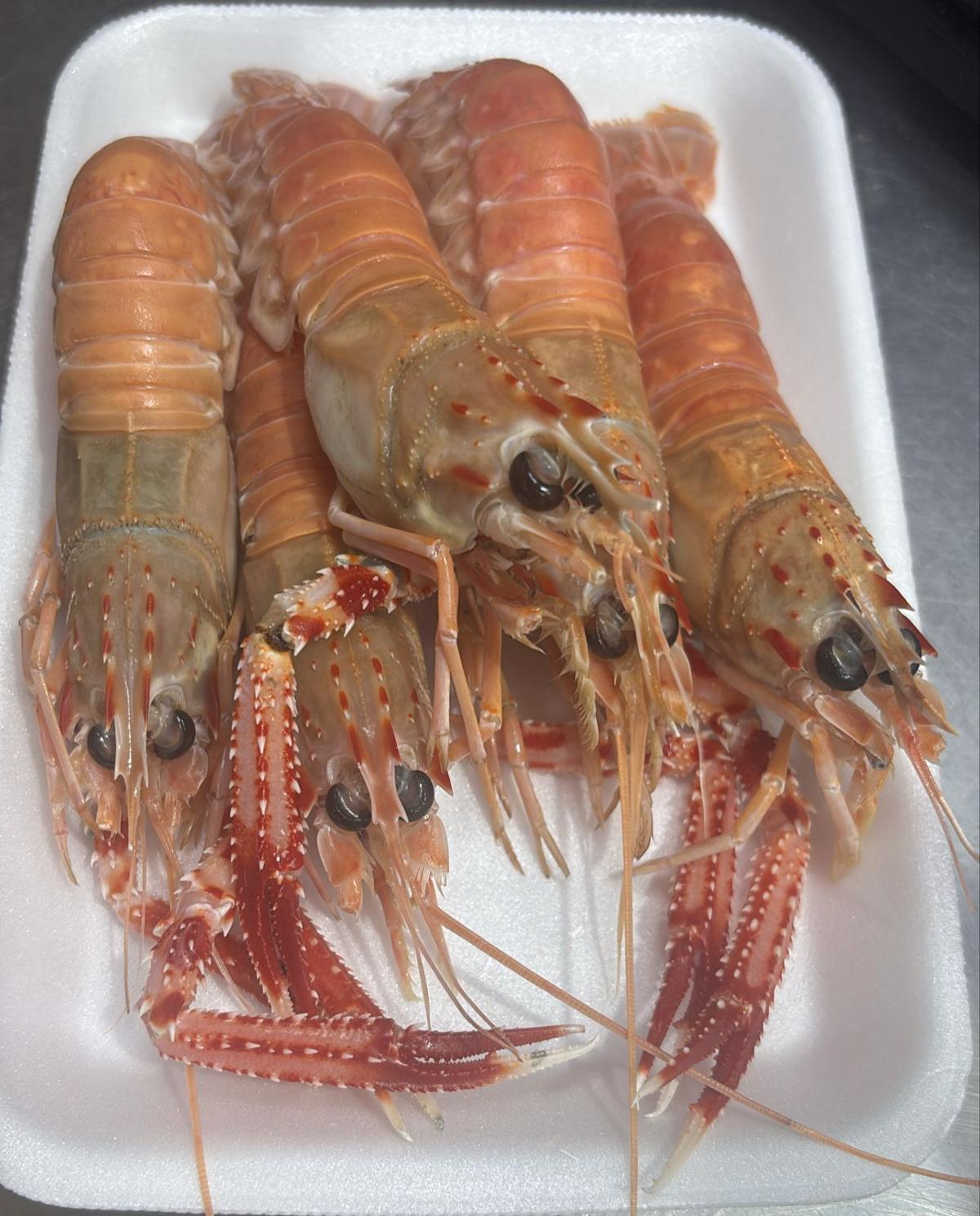 Lagostin Fresco (KG)