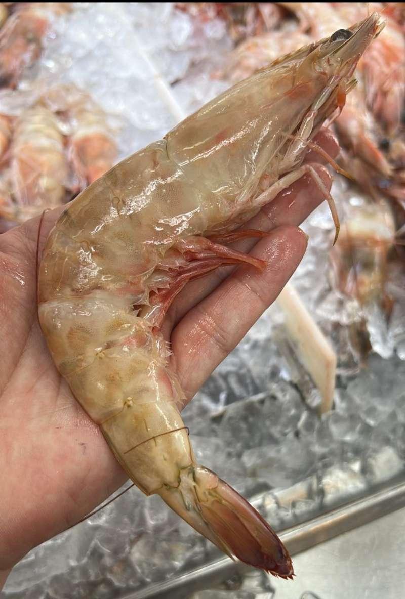 Foto de Camarao Rosa GG Fresco (KG)